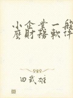 小企业一般用什么财务软件