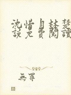 沈惜月林楚轩小说免费阅读最新章节