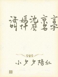 洛嫣沈京言小说叫什么名字