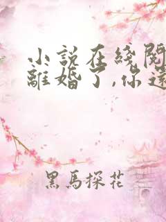 小说在线阅读都离婚了,你还纠缠什么