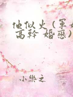 他似火 (军婚 高干 婚恋)