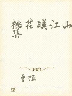 桃花映江山28集