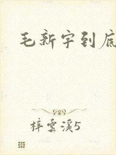 毛新宇到底是谁