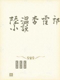 陆温杳霍祁钺的小说