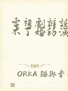 电视剧谁说我结不了婚的演员表