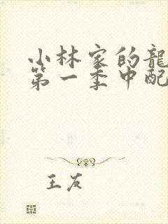 小林家的龙女仆第一季中配版