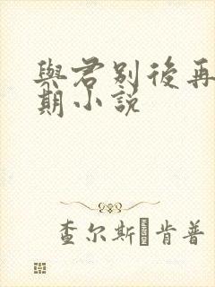 与君别后再无归期小说