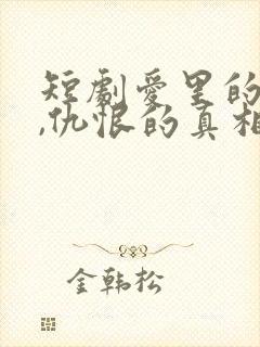 短剧爱里的谎言,仇恨的真相