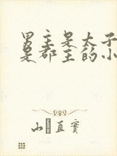 男主是太子女主是郡主的小说