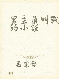 男主角叫战承胤的小说