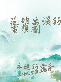 范明出演的全部电视剧