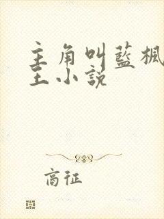 主角叫蓝枫的兵王小说