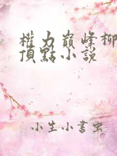 权力巅峰柳擎宇顶点小说