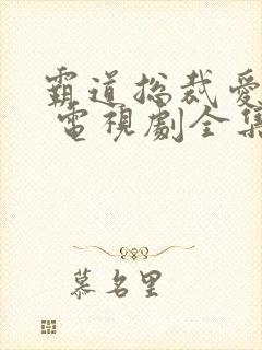 霸道总裁爱上我 电视剧全集免费观看韩剧