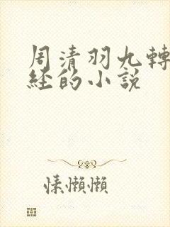 周清羽九转不灭经的小说