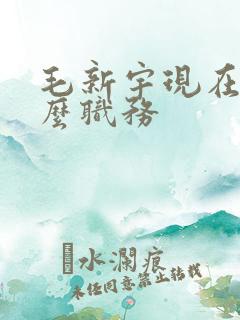 毛新宇现在是什么职务