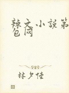 辣文小说第二书包网