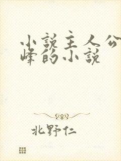 小说主人公叫秦峰的小说