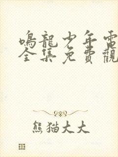 鸣龙少年电视剧全集免费观看高清