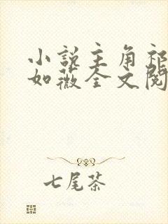 小说主角祁东沈如薇全文阅读