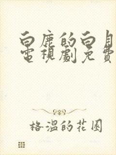 白鹿的白月梵星电视剧免费观看