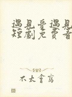 遇见爱遇见幸福短剧免费看