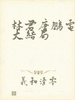 林君唐鹏电视剧大结局