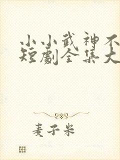 小小武神不好惹短剧全集大结局