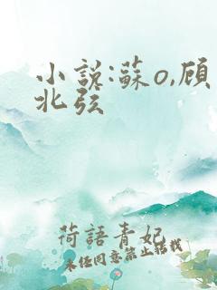 小说:苏o,顾北弦