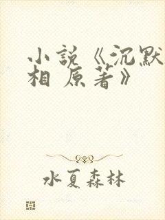 小说《沉默的真相 原著》