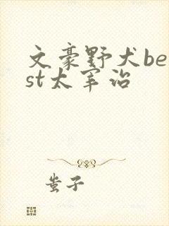 文豪野犬beast太宰治
