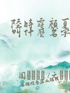 陆时霆颜夏小说叫什么名字