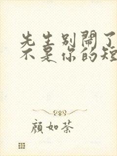 先生别闹了新娘不是你的短剧全集免费观看