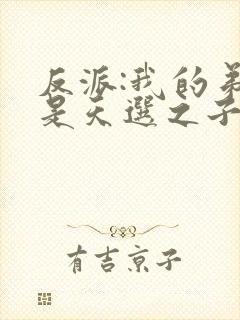 反派:我的弟弟是天选之子小说