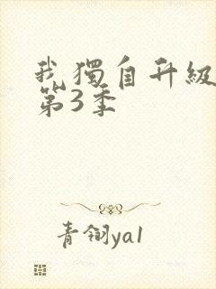 我独自升级动漫第3季