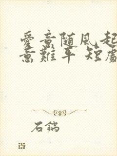 爱意随风起风止意难平 短剧