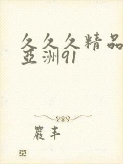 久久久精品国产亚洲91