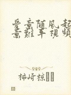 爱意随风起风止意难平视频