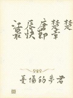 江辰唐楚楚最新最快节章