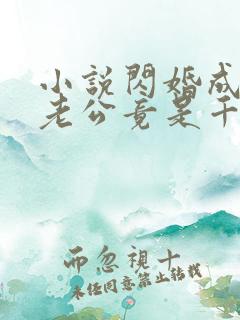 小说闪婚成宠,老公竟是千亿大佬