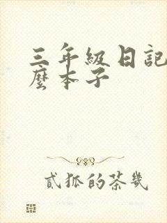 三年级日记用什么本子