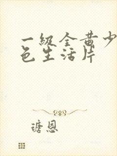 一级全黄少妇性色生活片