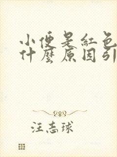 小便是红色的是什么原因引起的