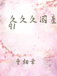 久久久国产精品91