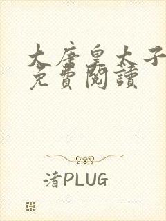 大唐皇太子小说免费阅读