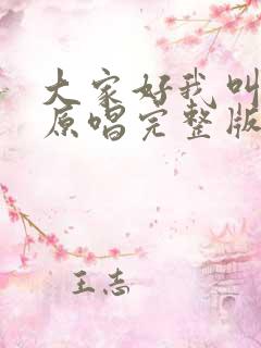 大家好我叫小莫原唱完整版歌词