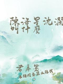 陈洛星沈澜小说叫什么