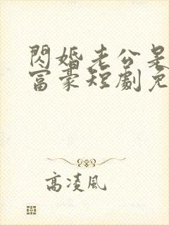 闪婚老公是超级富豪短剧免费观看