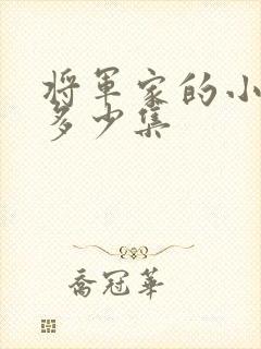 将军家的小娘子多少集