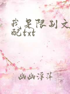 我是限制文的女配txt